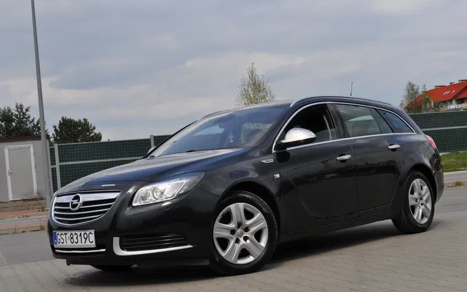 opel insignia Opel Insignia cena 24900 przebieg: 232400, rok produkcji 2010 z Ruciane-Nida